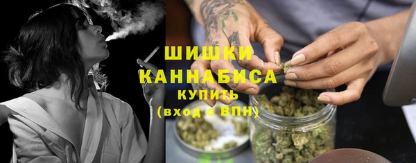 сатива Иннополис