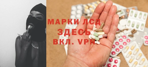 сатива Иннополис