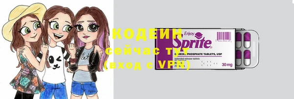 сатива Иннополис