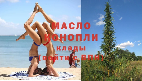 сатива Иннополис