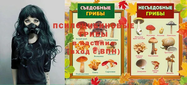 сатива Иннополис